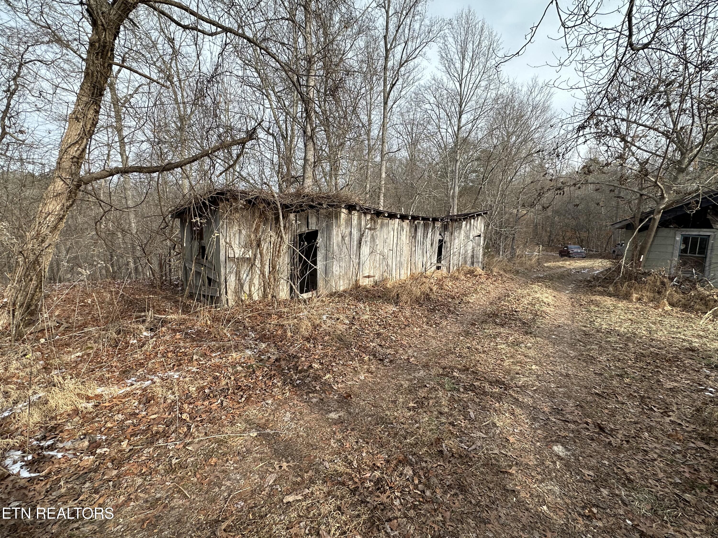 Tbd Russell Ridge Road Speedwell, TN 37870 - Photo 5 of 19 IMG_8179