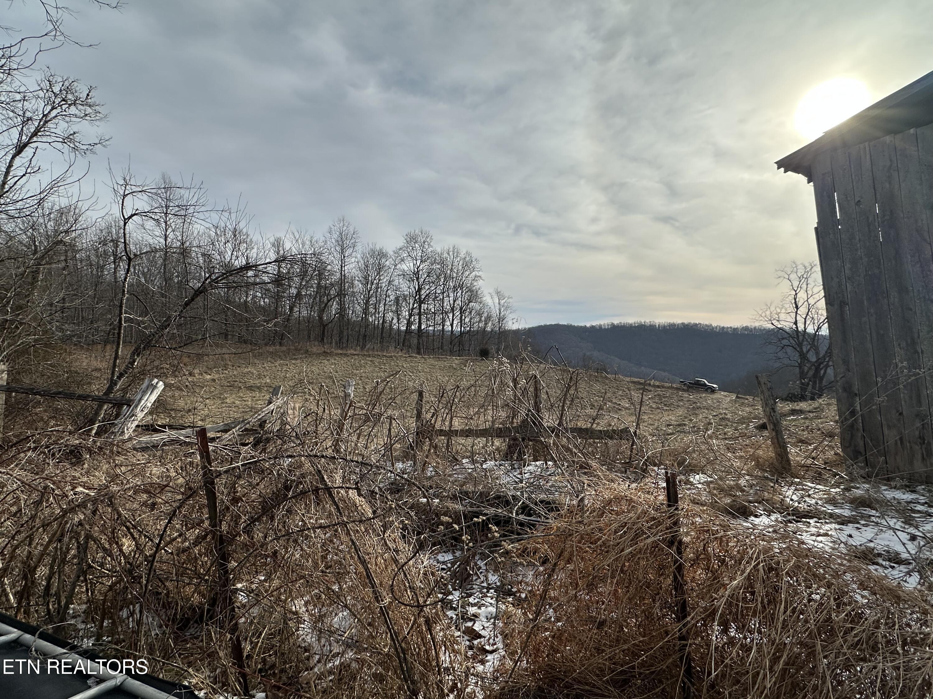 Tbd Russell Ridge Road Speedwell, TN 37870 - Photo 7 of 19 IMG_8177