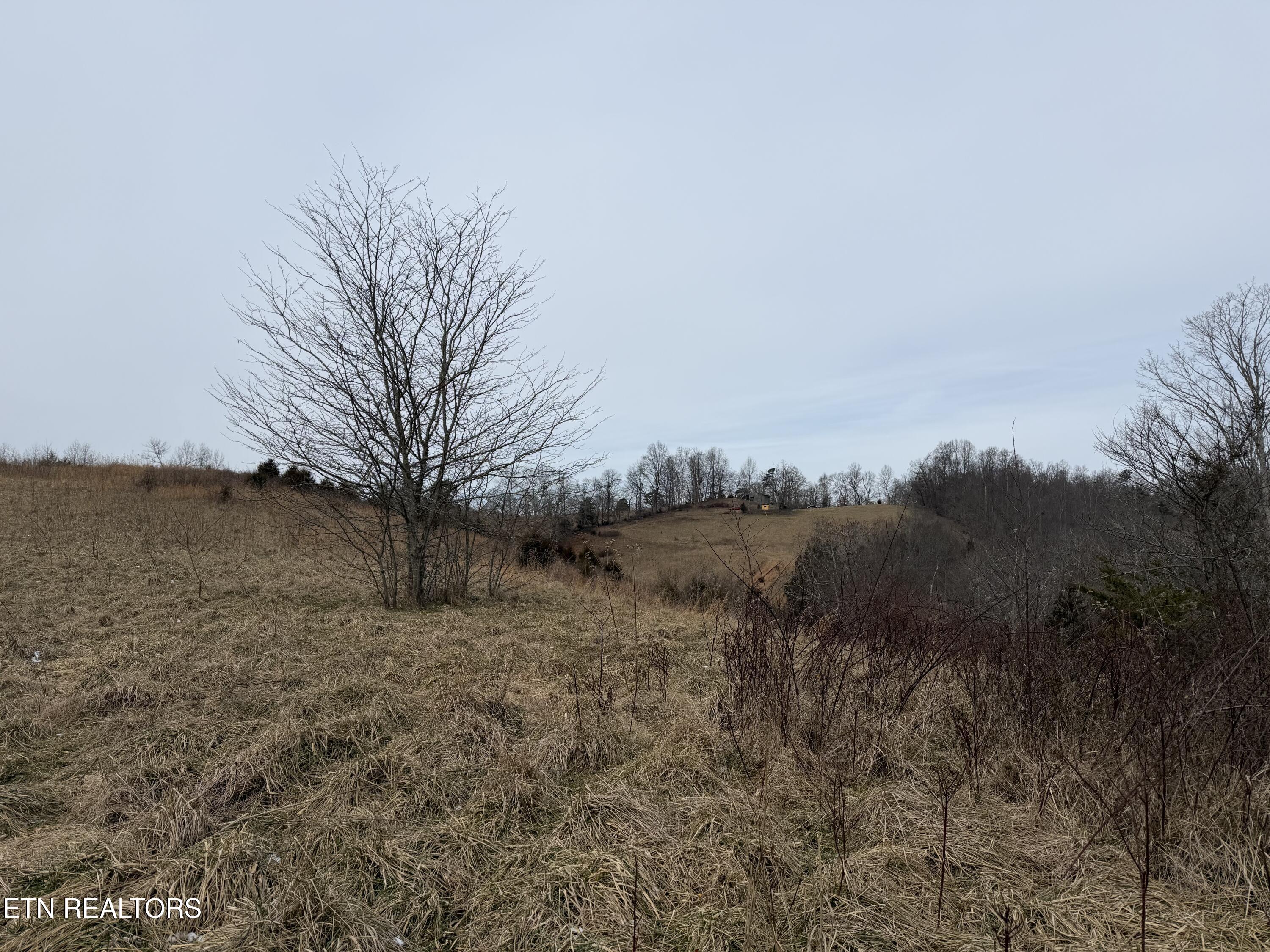 Tbd Russell Ridge Road Speedwell, TN 37870 - Photo 10 of 19 IMG_0214