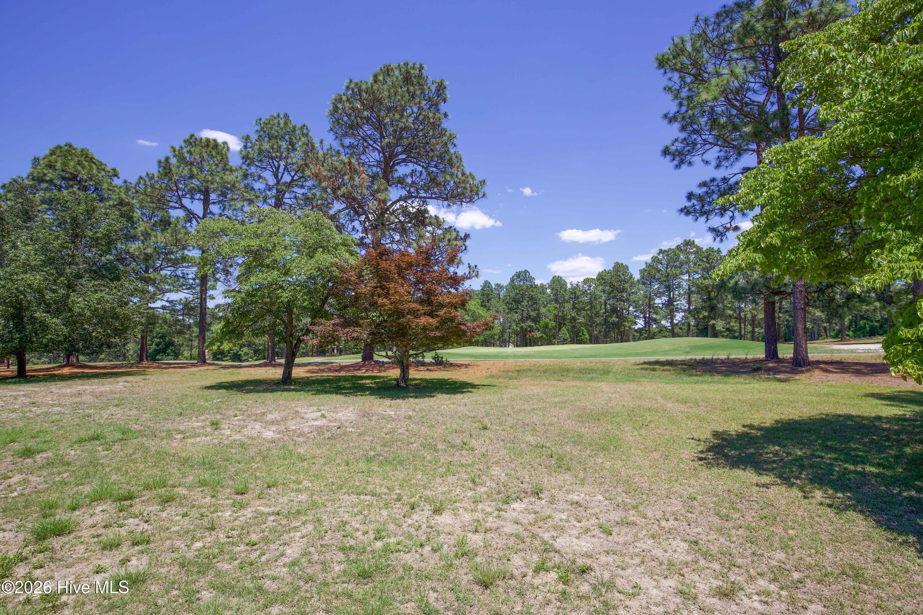 6 Pine Tree Terrace Jackson Springs, NC 27281 - Photo 30 of 35