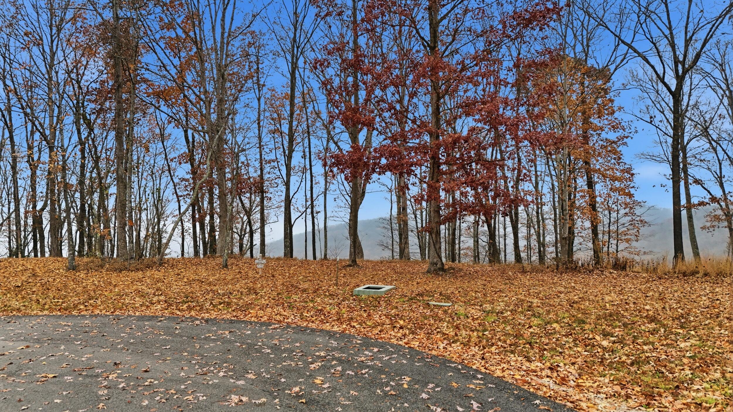 361 Volunteer Street Jasper, TN 37347 - Photo 3 of 8 dji_20251121022151_0269_d