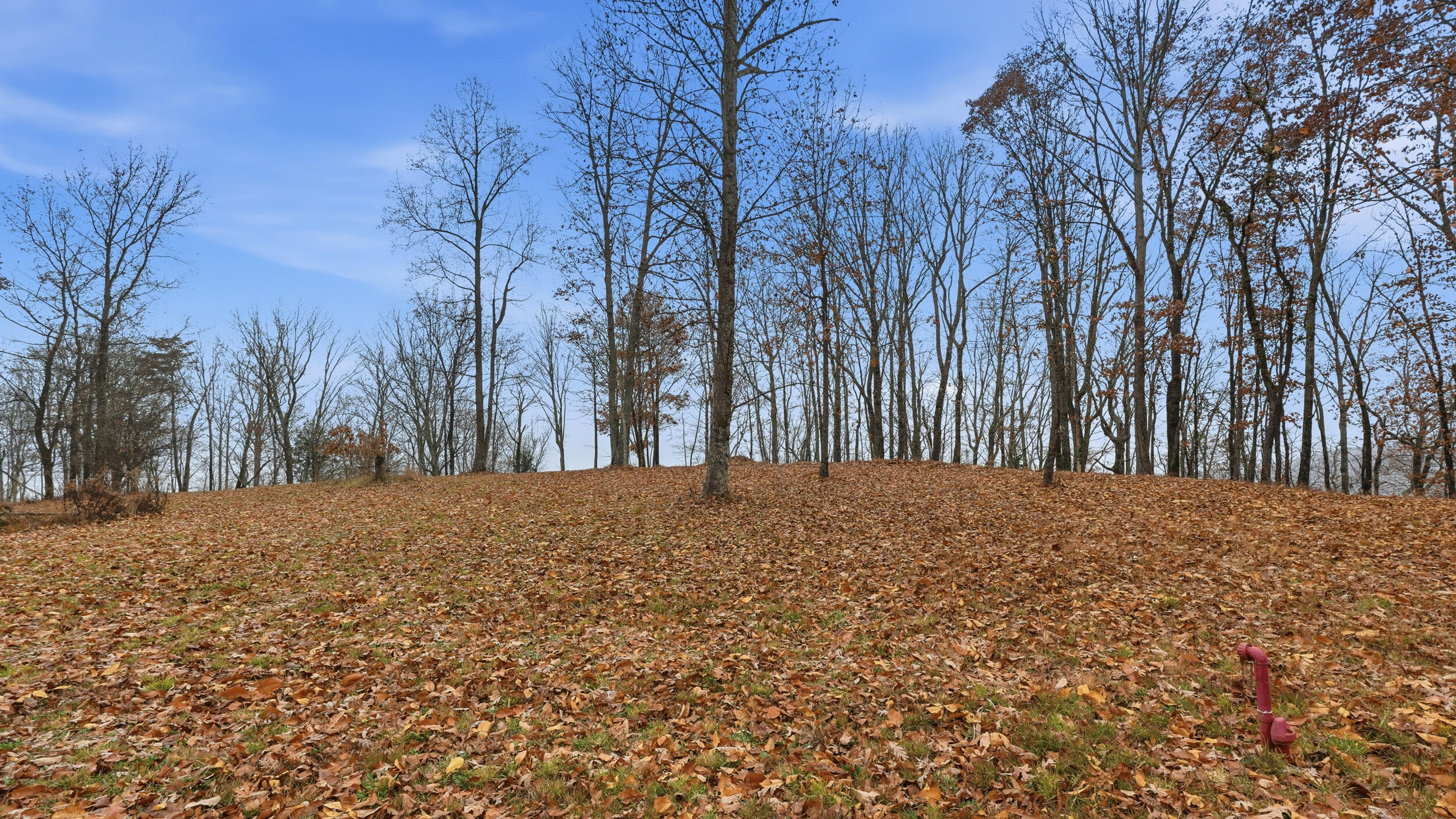 361 Volunteer Street Jasper, TN 37347 - Photo 6 of 8 dsc05484