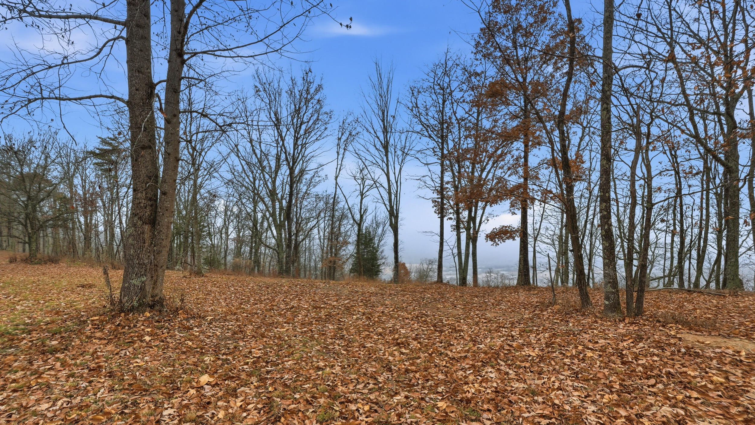 361 Volunteer Street Jasper, TN 37347 - Photo 7 of 8 dsc05489
