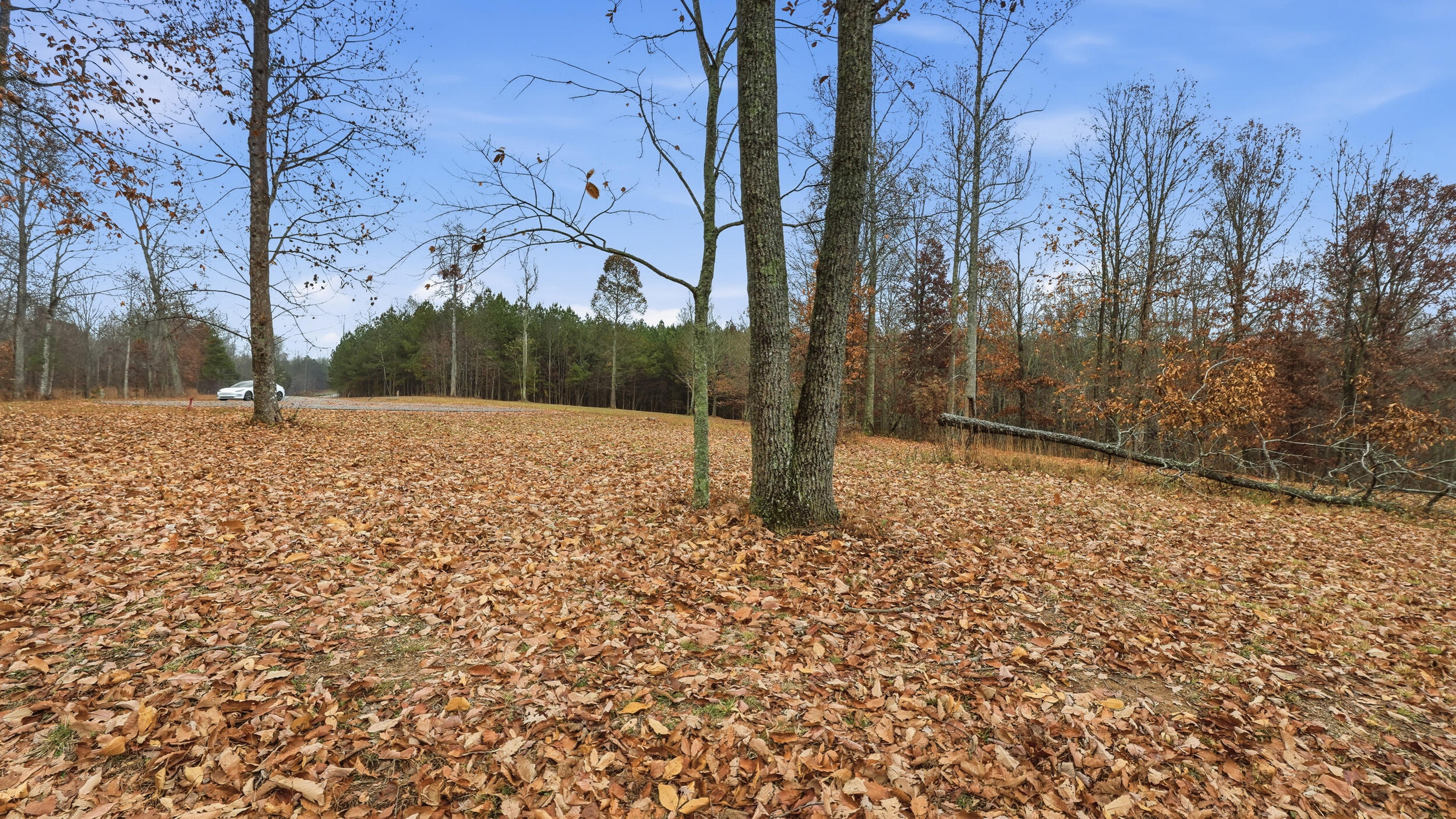 361 Volunteer Street Jasper, TN 37347 - Photo 8 of 8 dsc05496