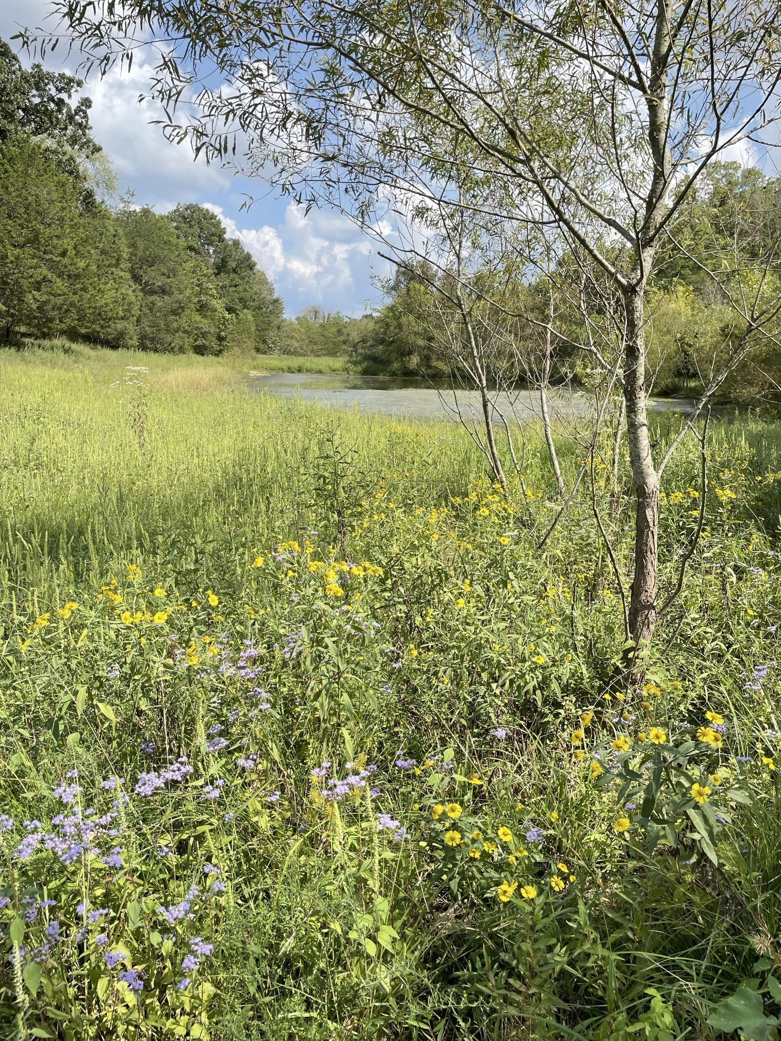 4840 Joe Peay Road Spring Hill, TN 37174 - Photo 38 of 45 Gallery Image 38
