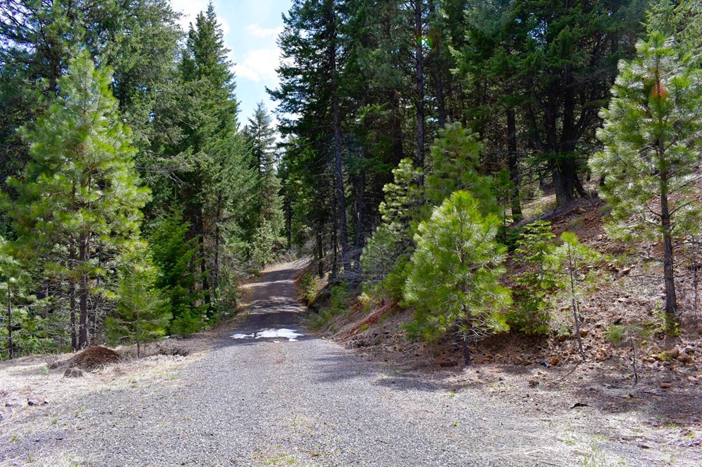 Lot 19 Little Salmon Road, Unit 19 New Meadows, ID 83654 - Photo 22 of 37