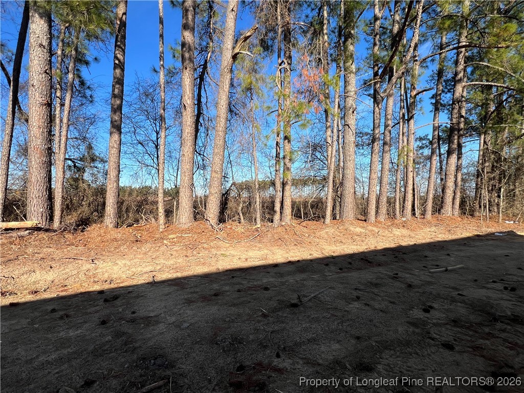 129 Traveller Way Raeford, NC 28376 - Photo 8 of 9 a view of dirt yard with a large tree