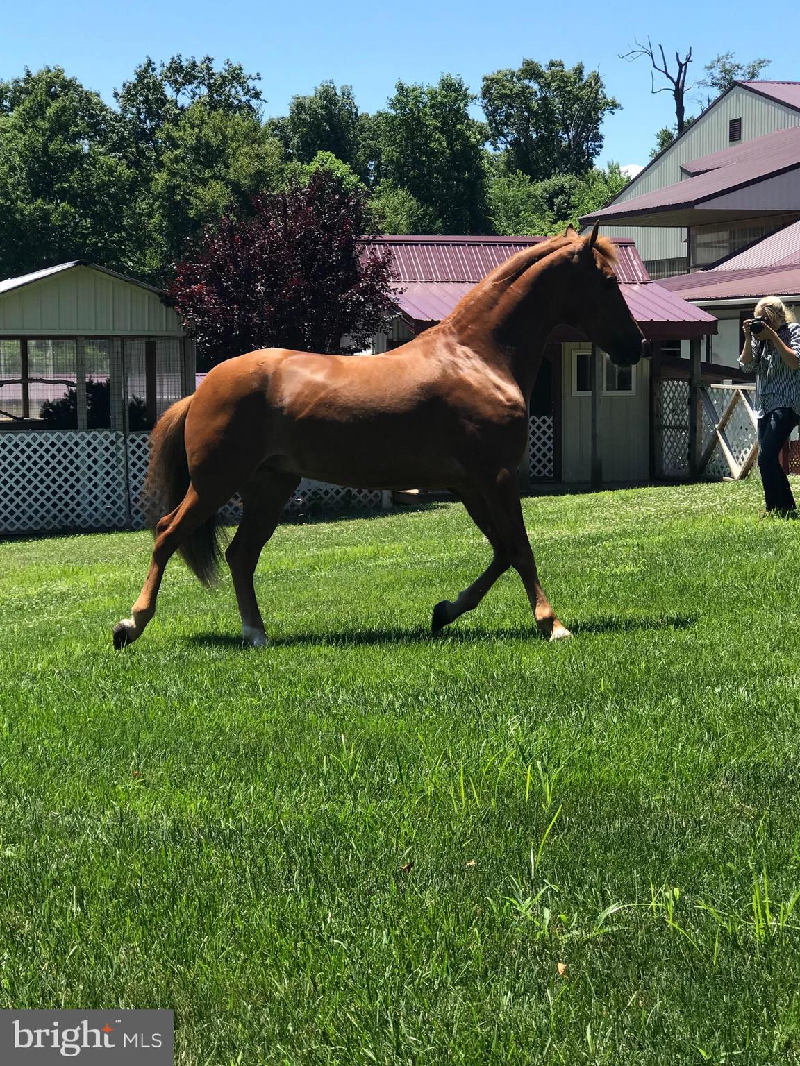 310 Mail Rte Road Sinking Spring, PA 19608 - Photo 40 of 45 a backyard of a house with yard and trampoline