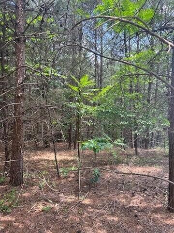5 Owl Hollow Road Southwest McDonald, TN 37353 - Photo 15 of 32