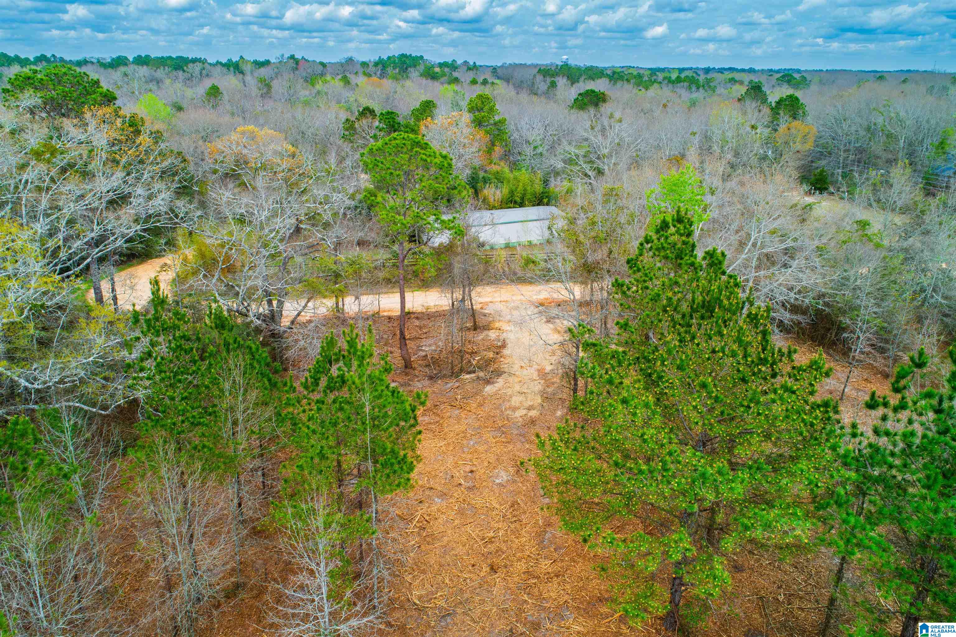 27180 Deer Run Road Opp, AL 36467 - Photo 40 of 60
