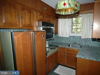 502 Sycamore Road Reading, PA 19611 - Photo 3 of 6