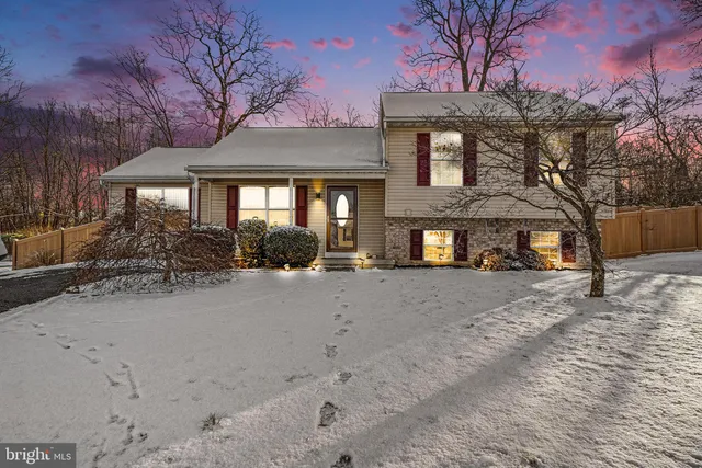 a front view of a house with yard