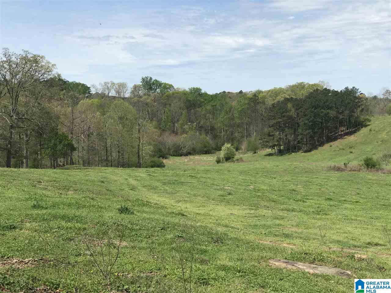 1241 Reneau Road Oneonta, AL 35121 - Photo 17 of 50