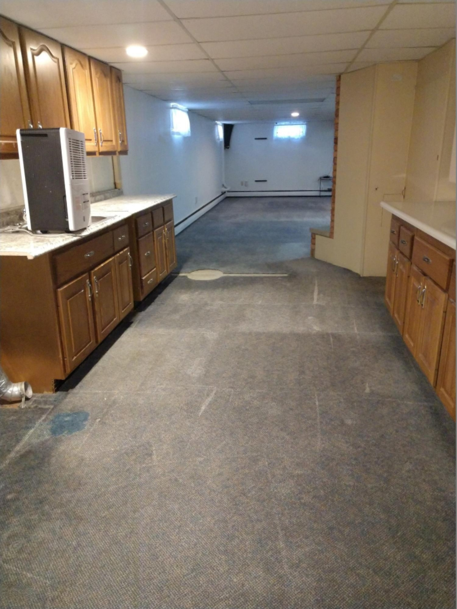 11000 Rainey Road Litchfield, MI 49252 - Photo 29 of 38 Basement Kitchenette
