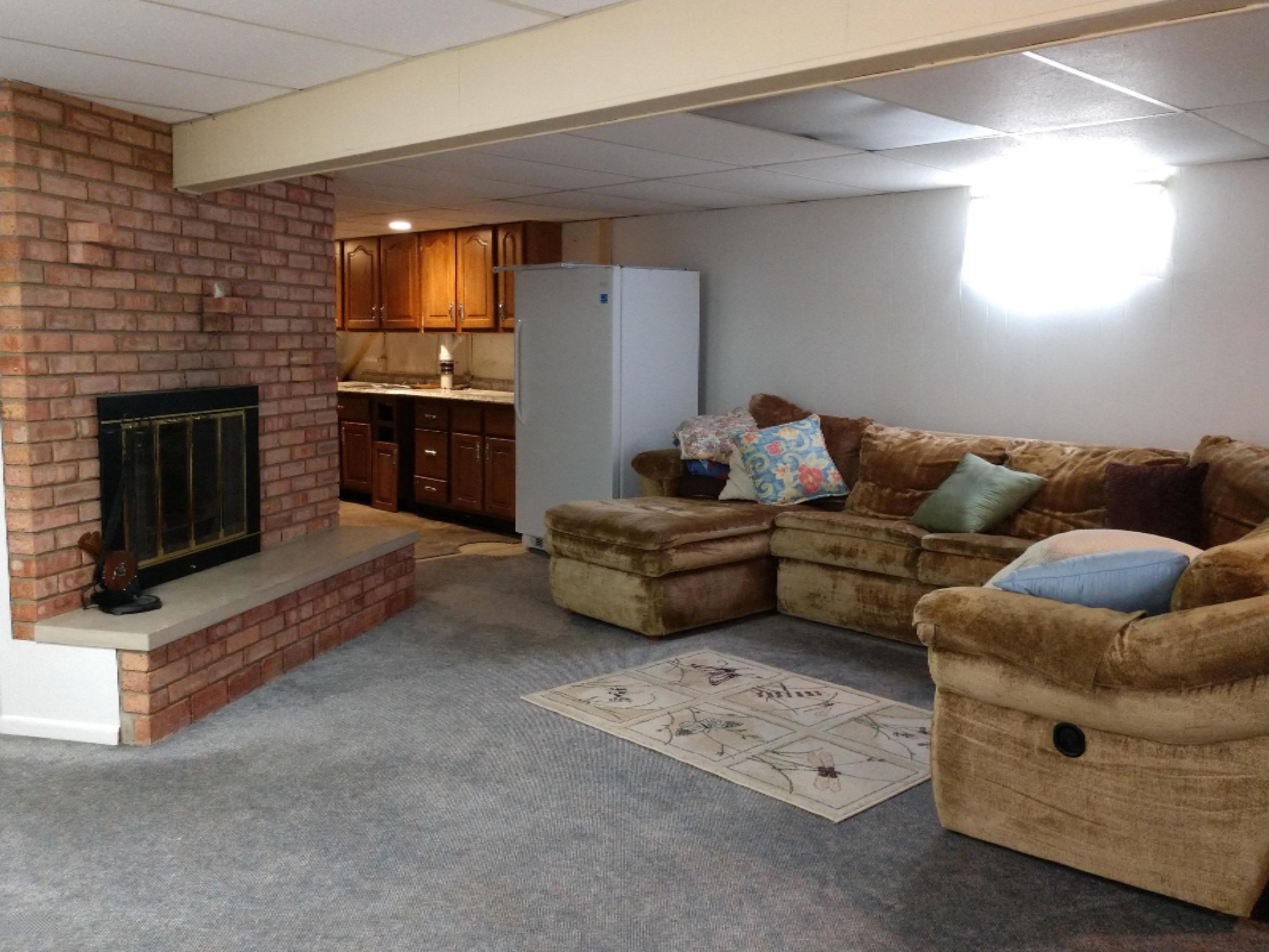 11000 Rainey Road Litchfield, MI 49252 - Photo 31 of 38 Basement