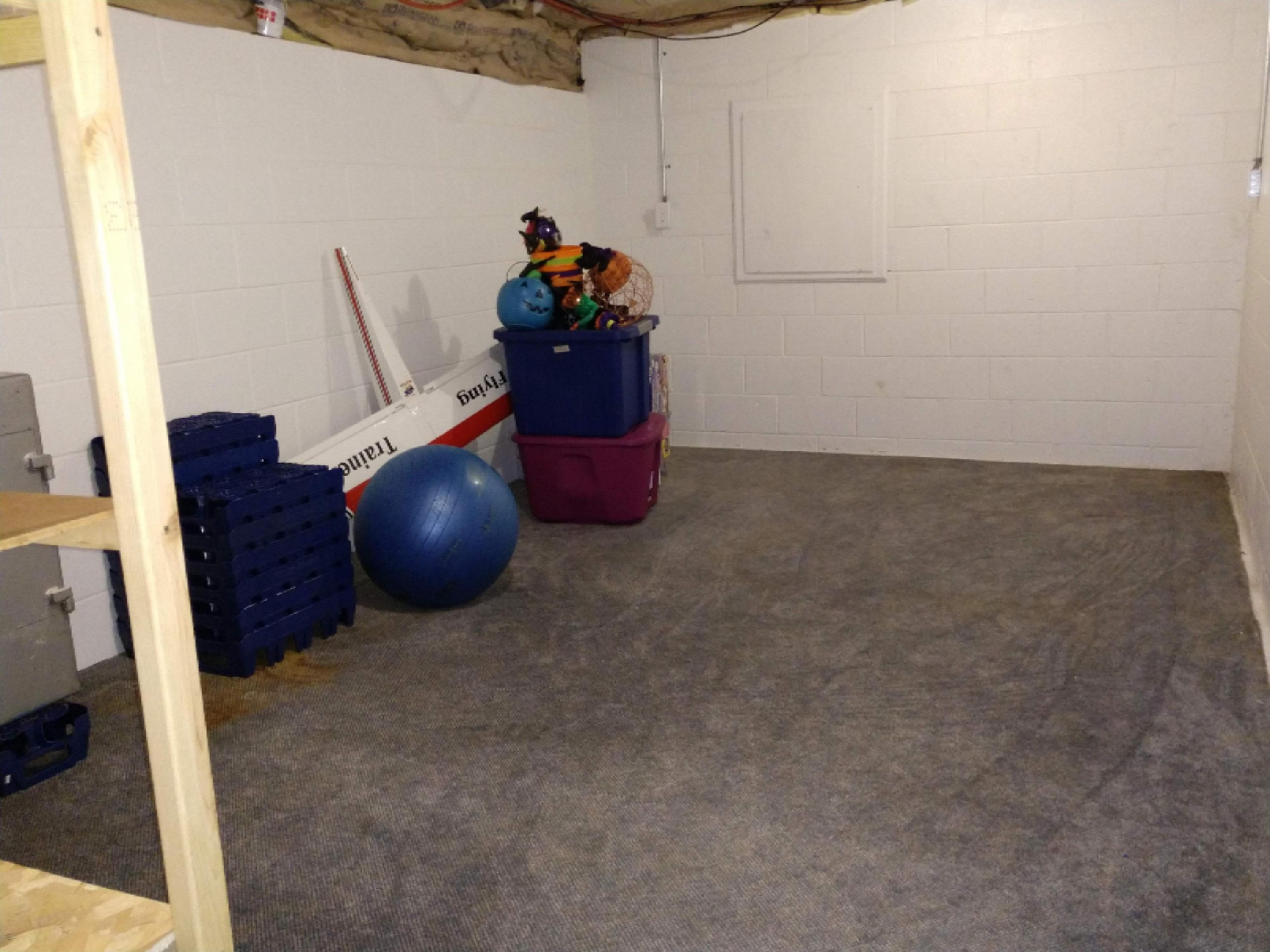 11000 Rainey Road Litchfield, MI 49252 - Photo 33 of 38 Basement Room