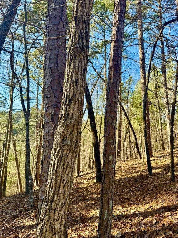 334 Packet Court Ranger, GA 30734 - Photo 6 of 21