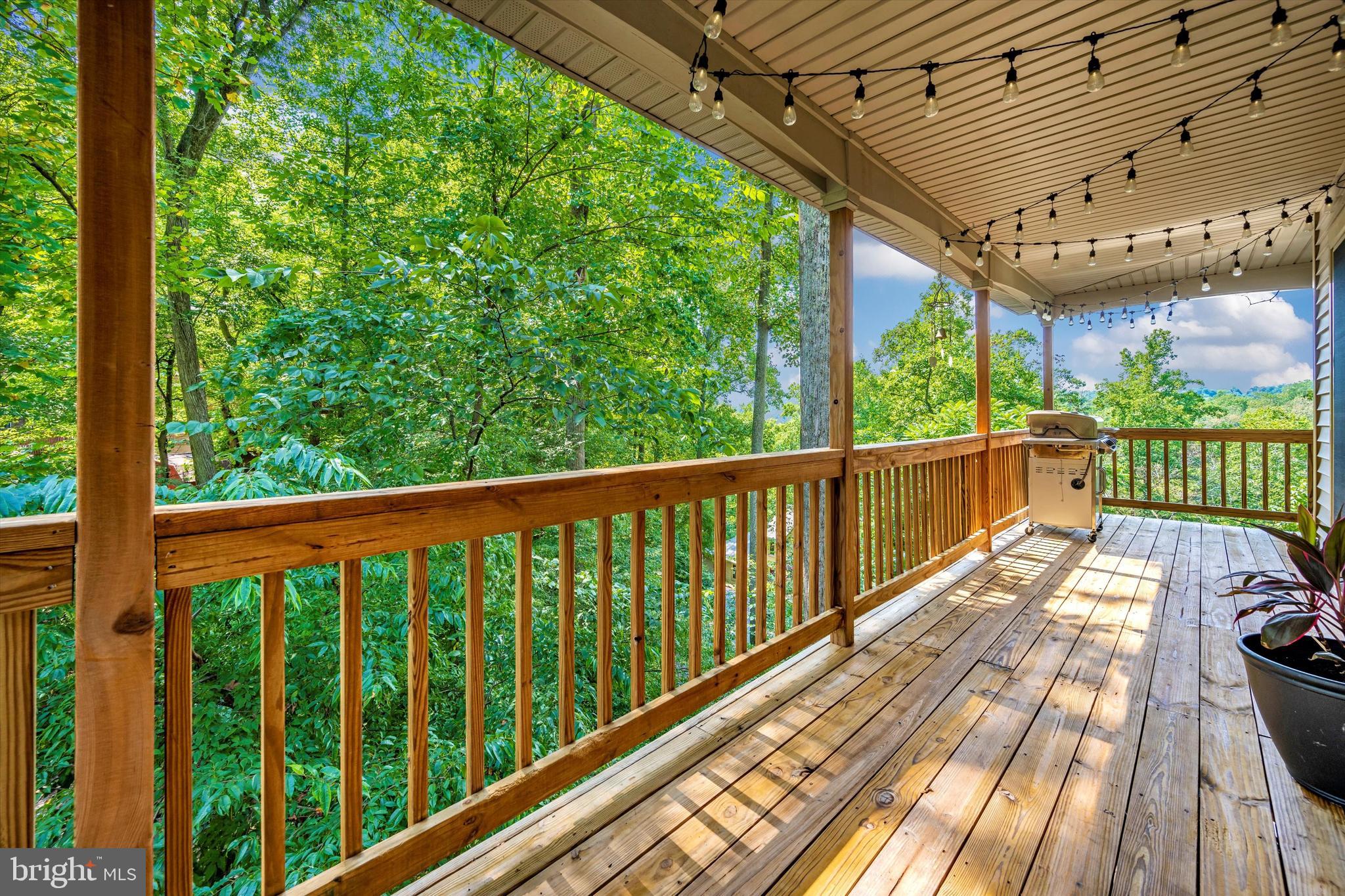 6604 West Lakeridge Road New Market, MD 21774 - Photo 39 of 56