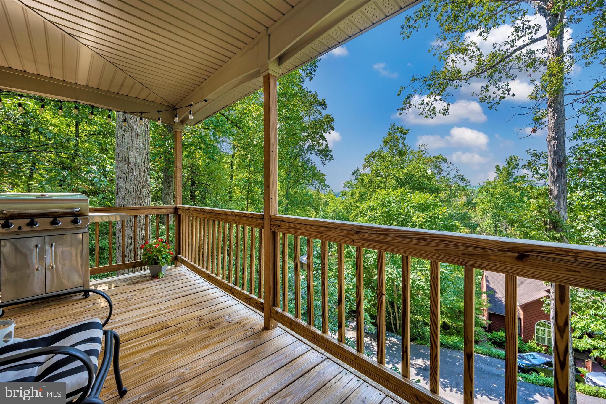 6604 West Lakeridge Road New Market, MD 21774 - Photo 43 of 56