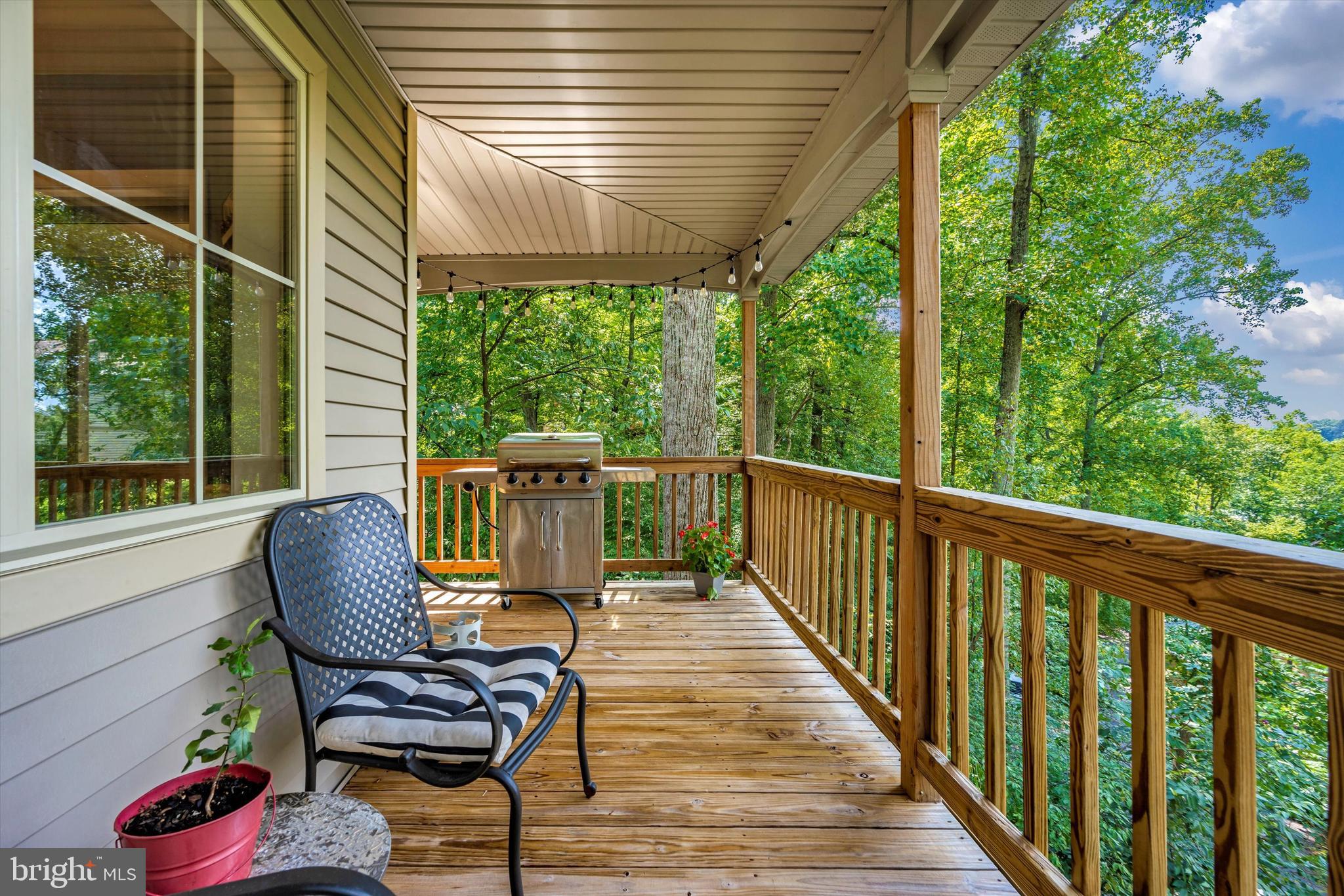 6604 West Lakeridge Road New Market, MD 21774 - Photo 44 of 56