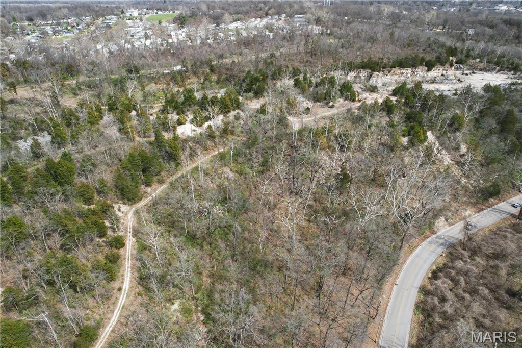0 Herky Horine Road Pevely, MO 63070 - Photo 19 of 35