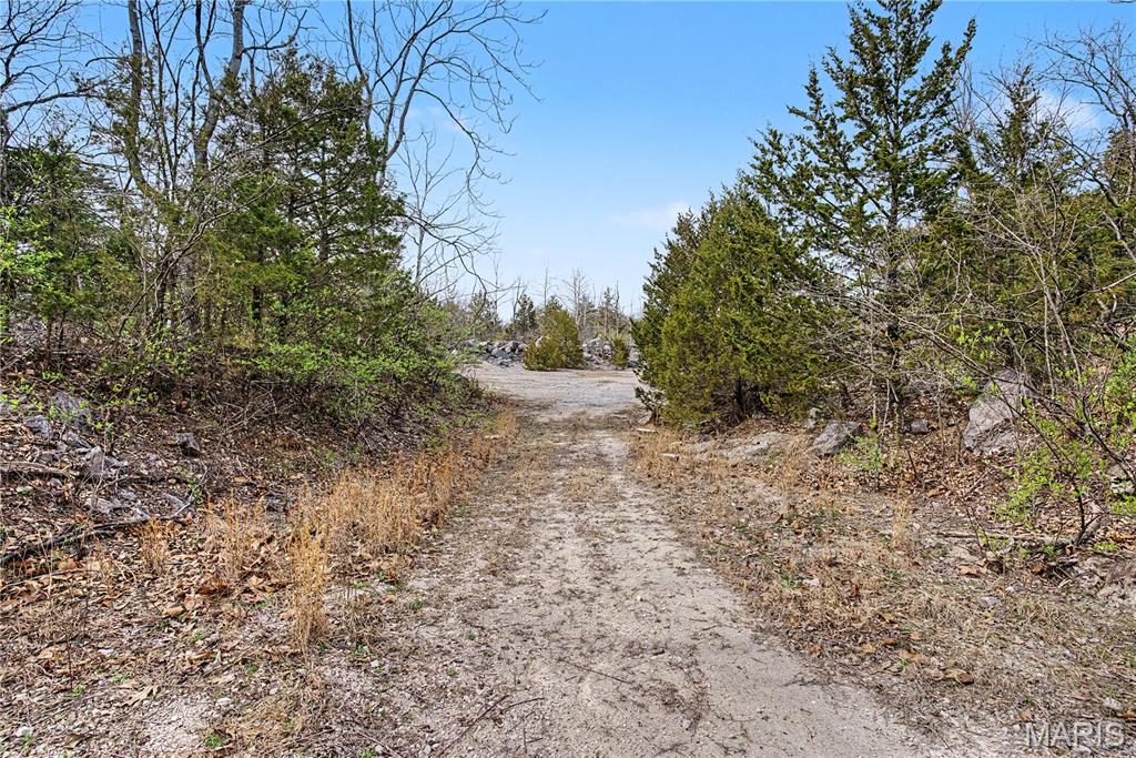 0 Herky Horine Road Pevely, MO 63070 - Photo 21 of 35