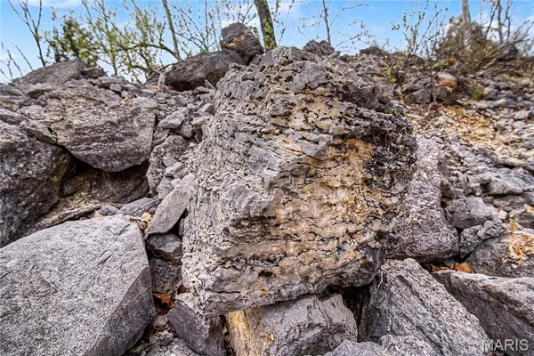 $1,000,000 | 0 Herky Horine Road, Pevely, MO 63070