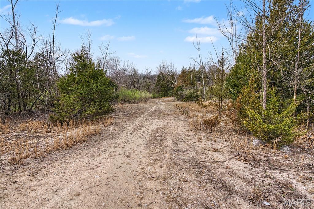 0 Herky Horine Road Pevely, MO 63070 - Photo 29 of 35
