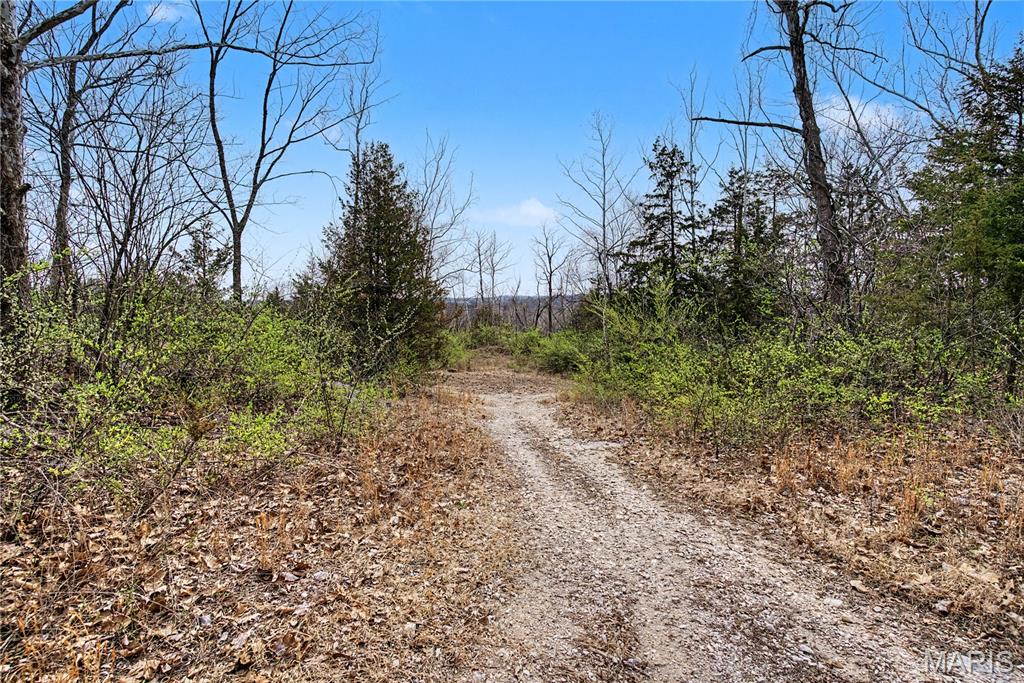 0 Herky Horine Road Pevely, MO 63070 - Photo 30 of 35