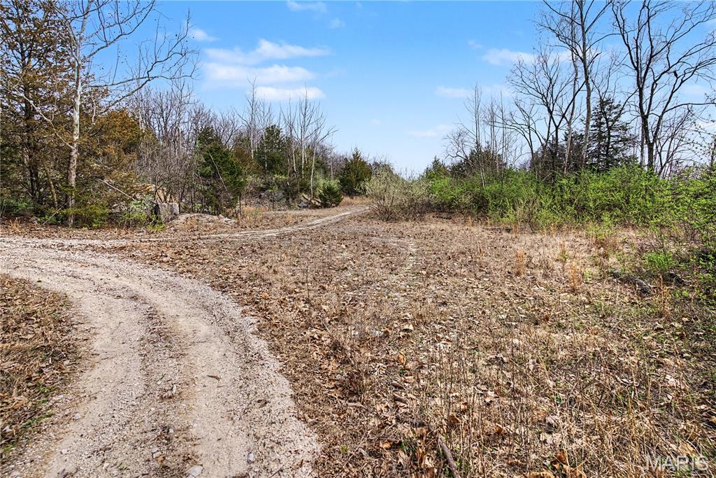 0 Herky Horine Road Pevely, MO 63070 - Photo 32 of 35