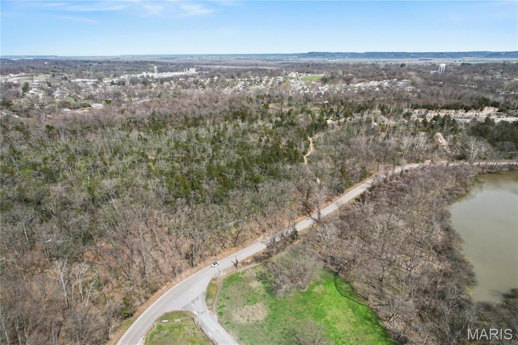 0 Herky Horine Road Pevely, MO 63070 - Photo 10 of 35