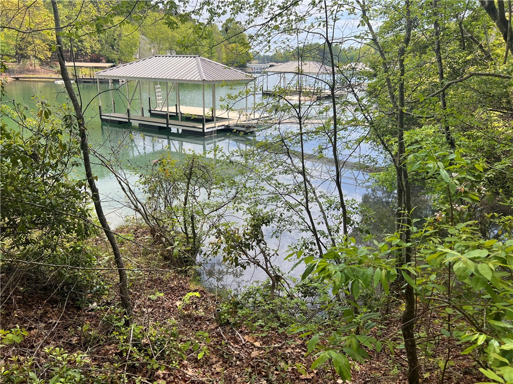 671 Turtle Cv Road, Unit LOT 4 Seneca, SC 29672 - Photo 14 of 16 Gallery Image 14