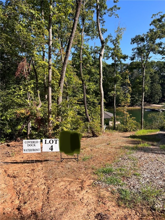 671 Turtle Cv Road, Unit LOT 4 Seneca, SC 29672 - Photo 6 of 16 Gallery Image 6