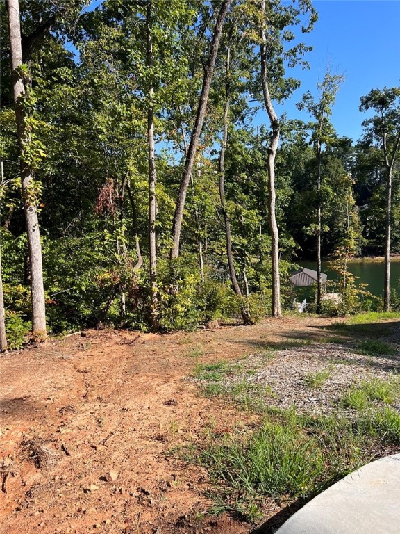671 Turtle Cv Road, Unit LOT 4 Seneca, SC 29672 - Photo 8 of 16 Gallery Image 8
