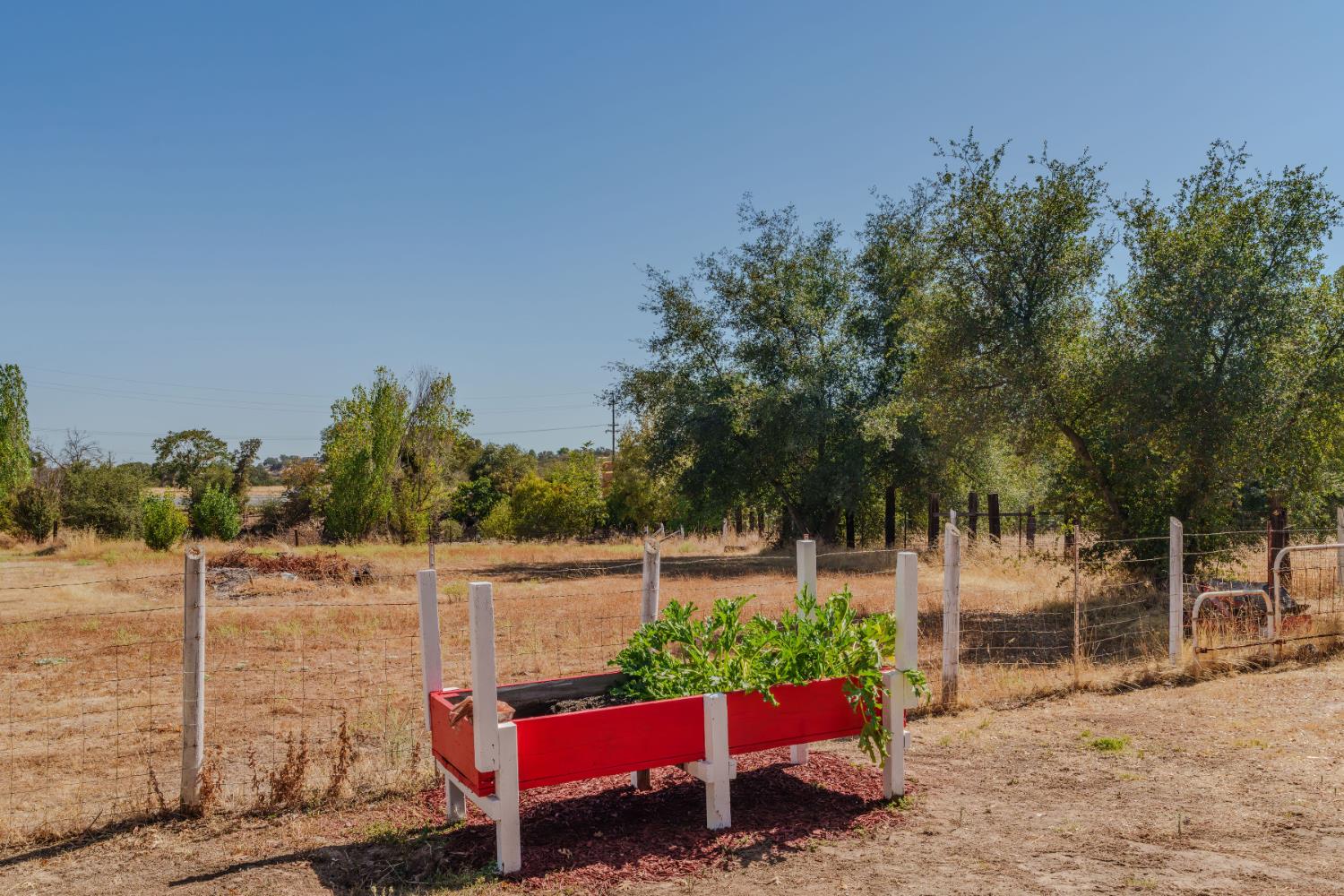 9680 Warren Road Valley Springs, CA 95252 - Photo 11 of 51 a view of a bench in the backyard