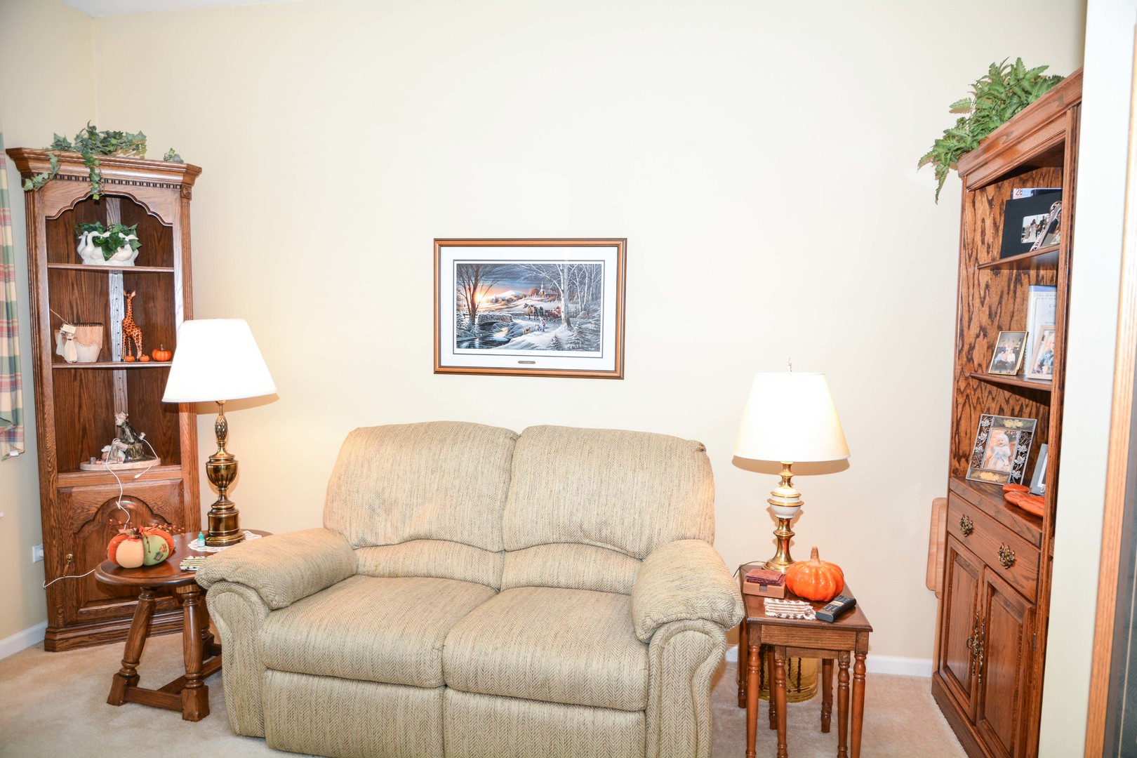 13913 Chanwahon Road Huntley, IL 60142 - Photo 5 of 15 Gallery Image 5