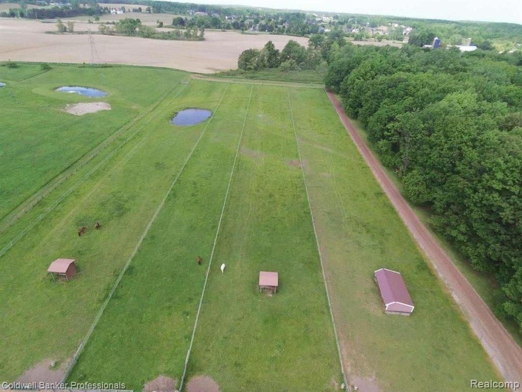 5240 Thomas Road Metamora, MI 48455 - Photo 44 of 67