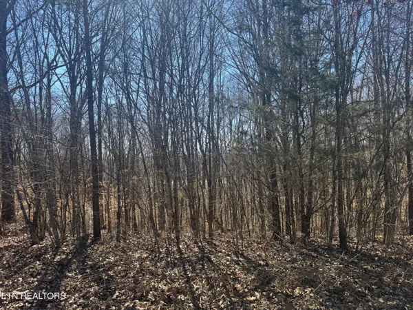 $15,000 | Lot 71 Saddle Ridge Drive, Speedwell, TN 37870