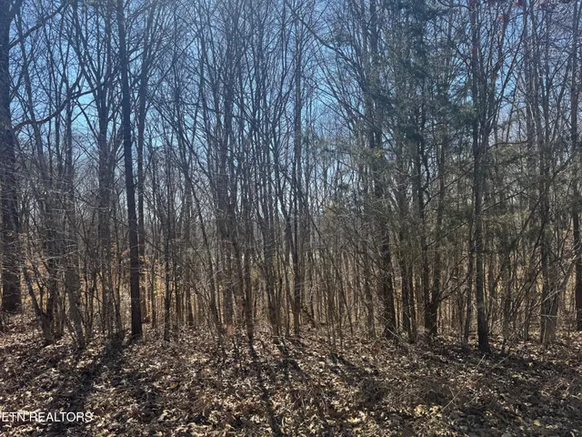 $17,900 | Lot 71 Saddle Ridge Drive, Speedwell, TN 37870