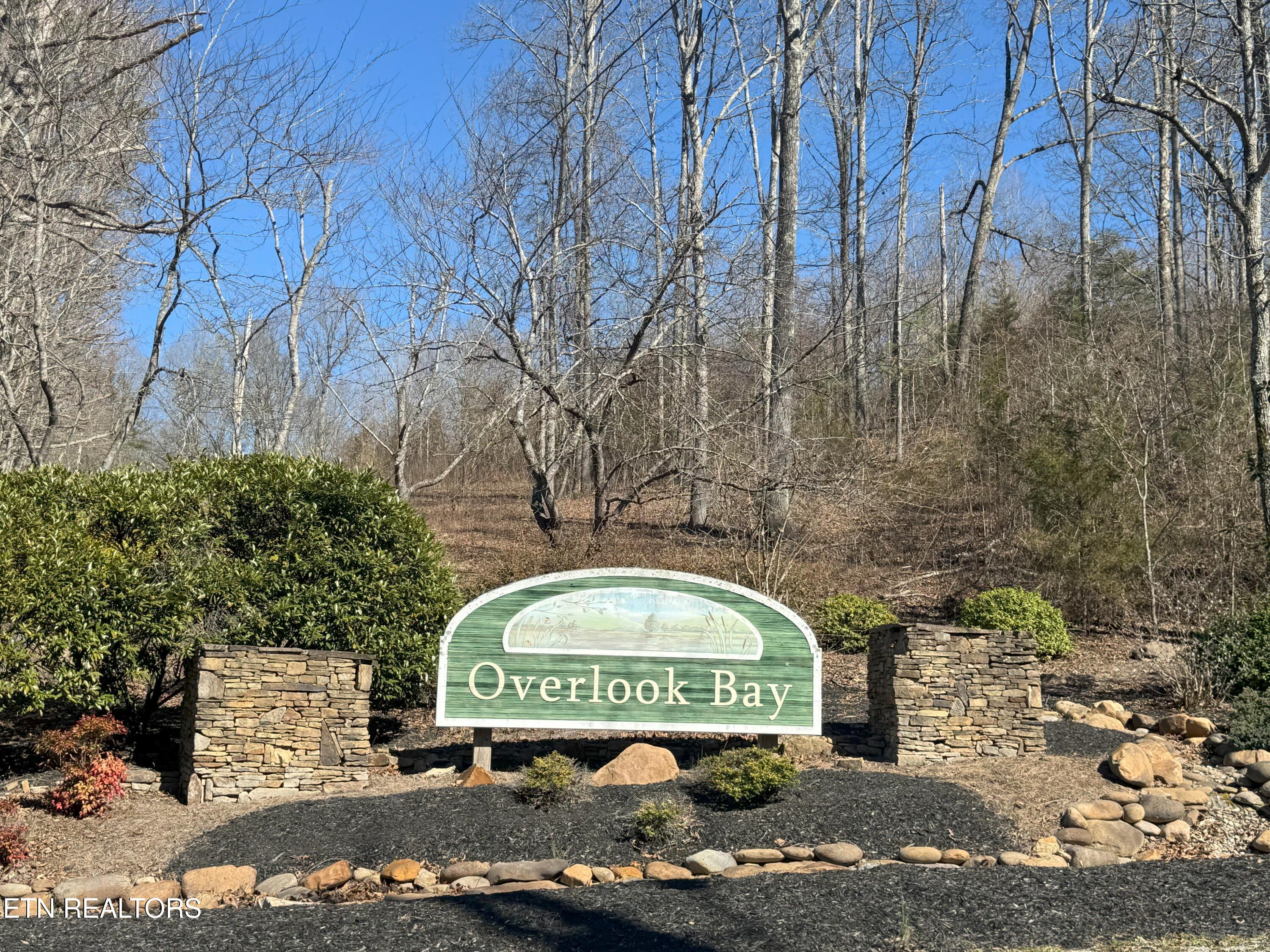 Lot 71 Saddle Ridge Drive Speedwell, TN 37870 - Photo 11 of 11 OLB1