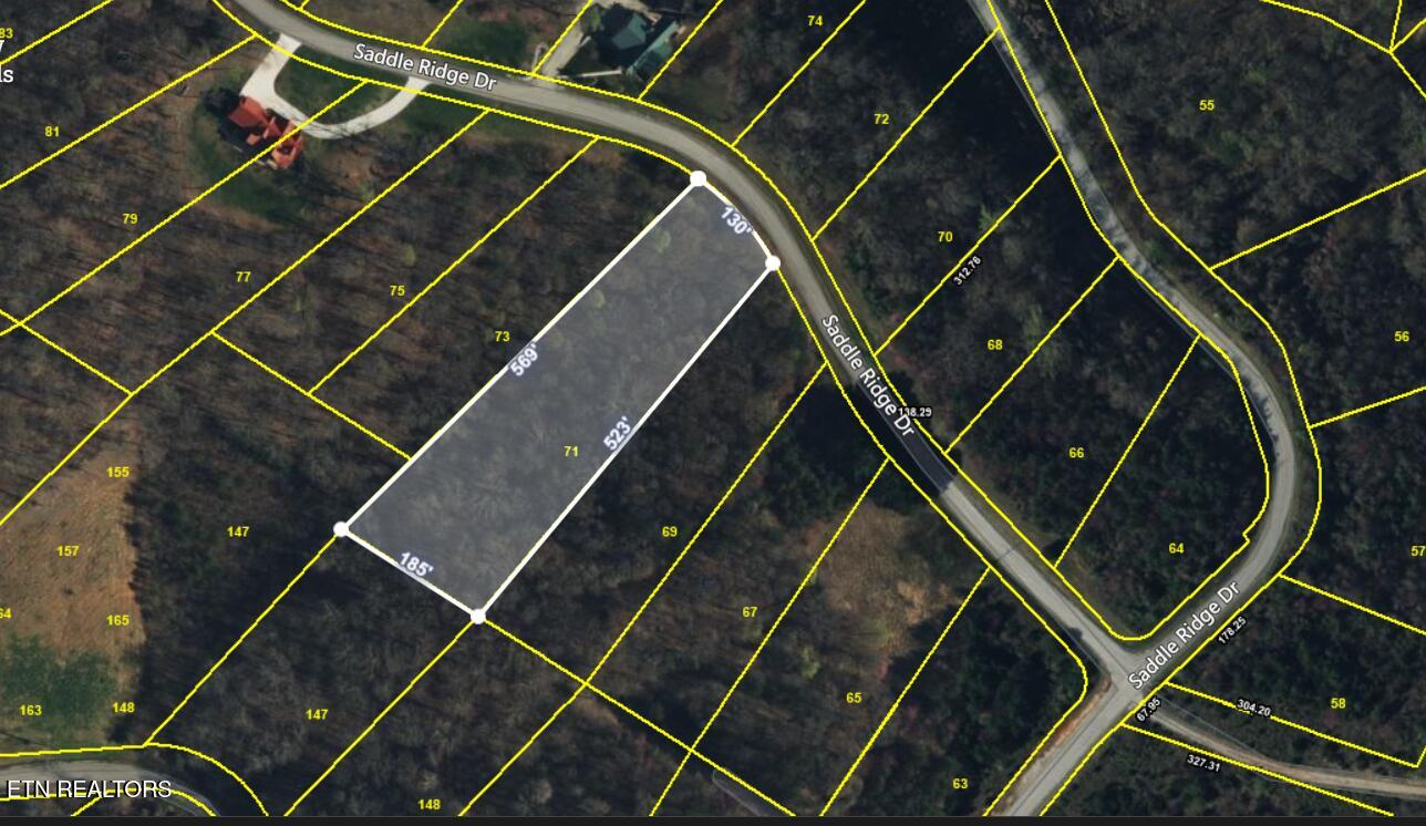 Lot 71 Saddle Ridge Drive Speedwell, TN 37870 - Photo 2 of 11 Screenshot 2025-04-03 190820