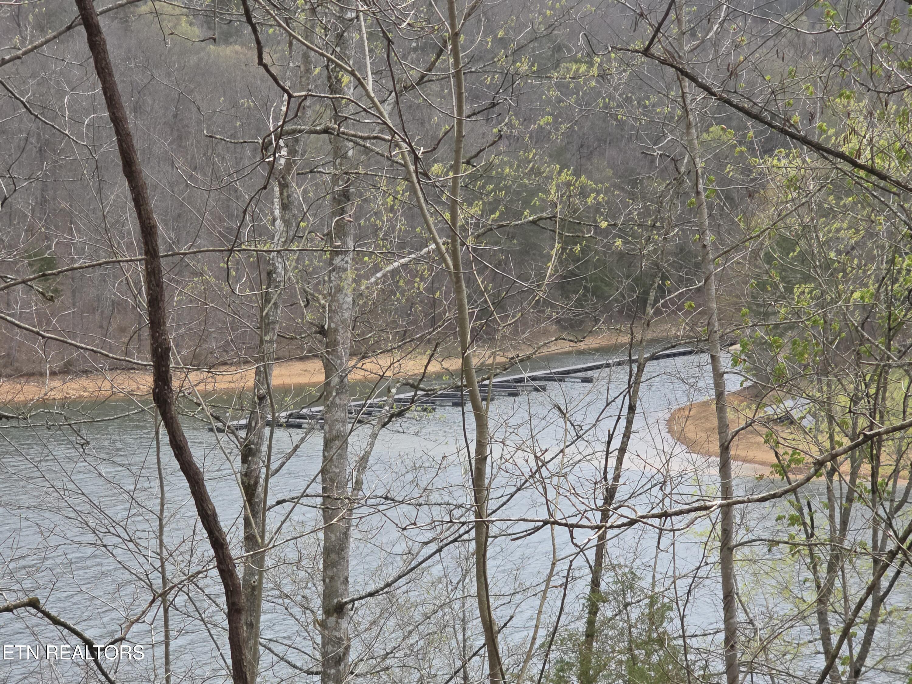Lot 71 Saddle Ridge Drive Speedwell, TN 37870 - Photo 7 of 11 Boat Dock -Other side of Lake
