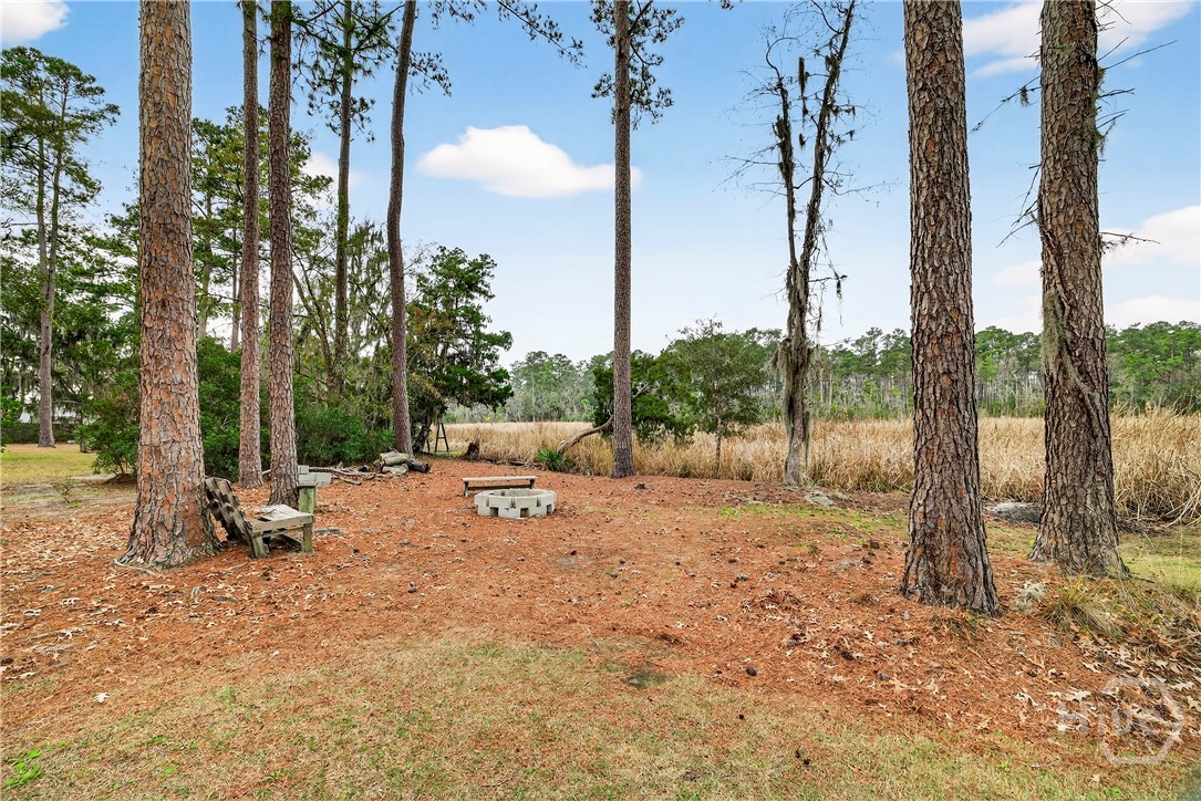 314 Mill Run Road Richmond Hill, GA 31324 - Photo 58 of 72