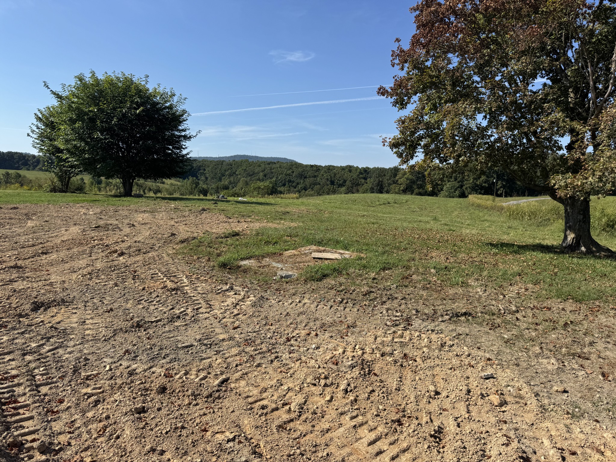 0 Pea Ridge Road Liberty, TN 37095 - Photo 5 of 6 a view of a field with an trees