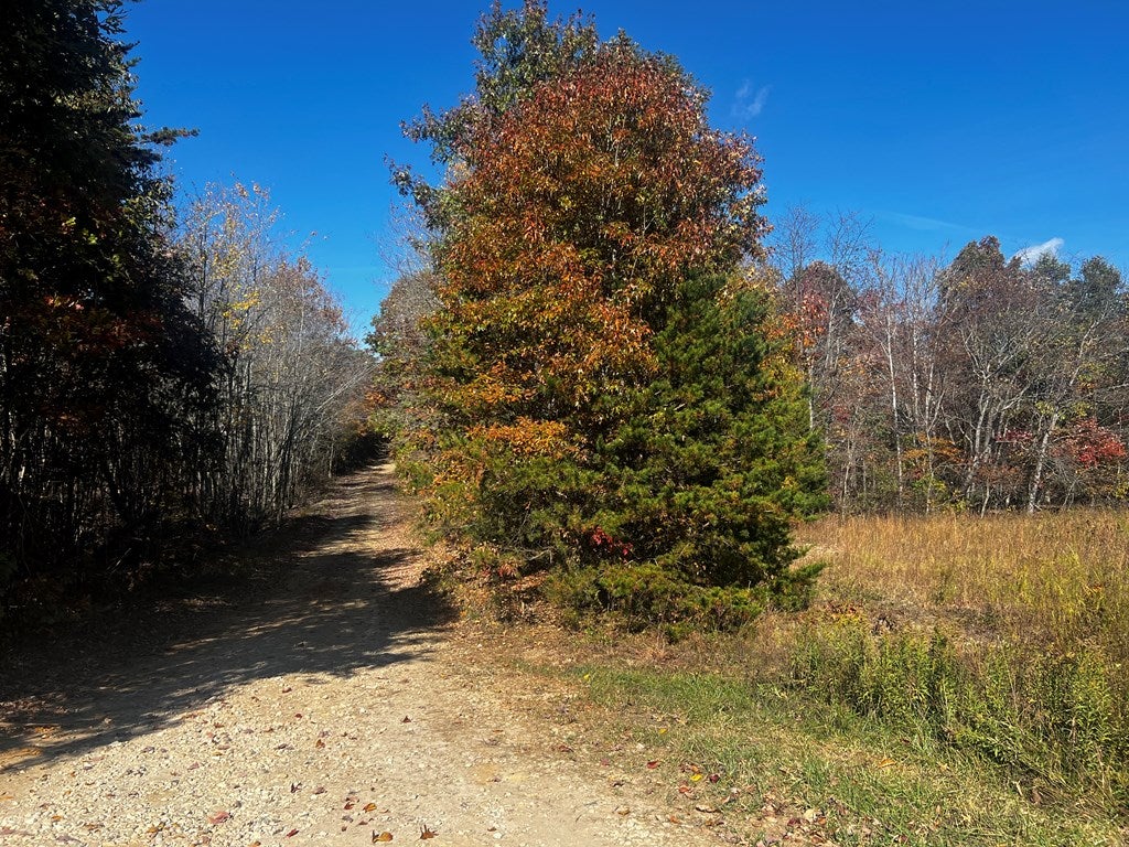 660 Shelton Store Road Wingina, VA 24599 - Photo 4 of 9 Gallery Image 4