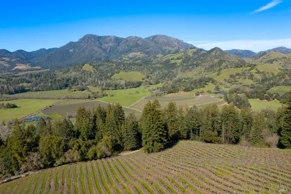 a view of a mountain with a yard