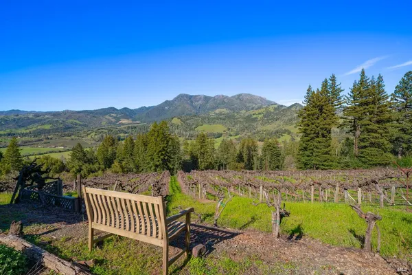 a view of a backyard with large trees