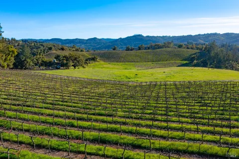 $4,950,000 | 18276 Highway 128, Unit A, Calistoga, CA 94515