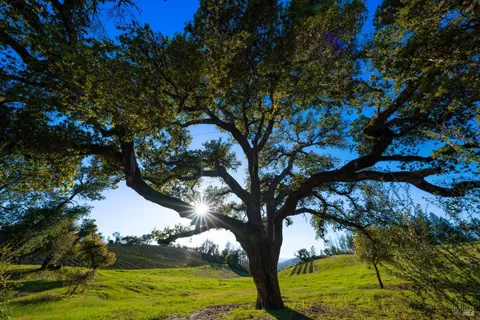 $4,950,000 | 18276 Highway 128, Unit A, Calistoga, CA 94515