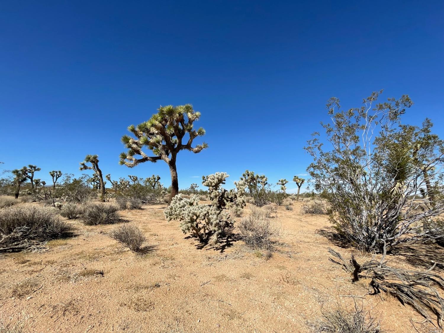 0 Pajara Drive Yucca Valley, CA 92284 - Photo 2 of 9 a view of a wooden fence